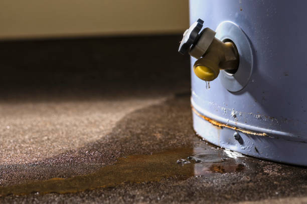 Best Emergency water damage restoration  in Mentor On The Lake, OH