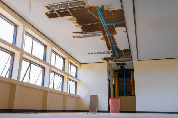 Best Ceiling water damage repair  in Mentor On The Lake, OH