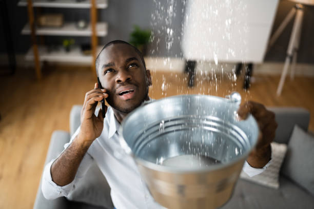Best Carpet water damage restoration  in Mentor On The Lake, OH