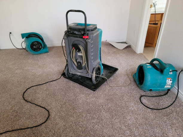 Best Residential water damage restoration  in Mentor On The Lake, OH