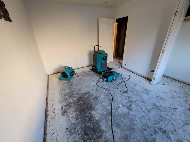 Best Carpet water damage restoration  in Mentor On The Lake, OH