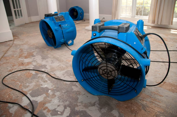 Best Water damage contractors near me  in Mentor On The Lake, OH