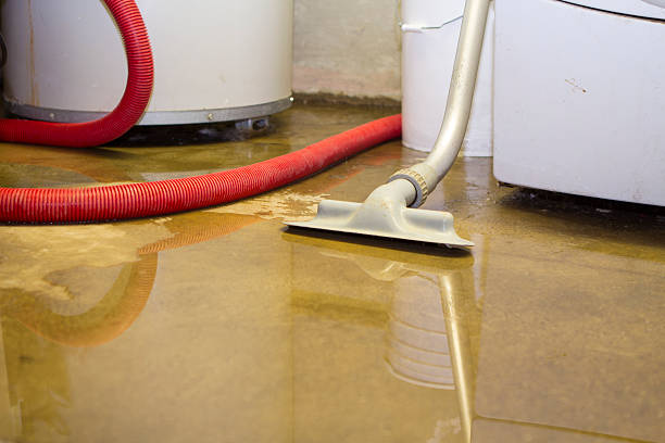 Best Water damage repair service  in Mentor On The Lake, OH
