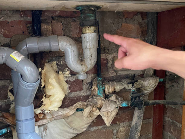 Best Water damage cleanup near me  in Mentor On The Lake, OH